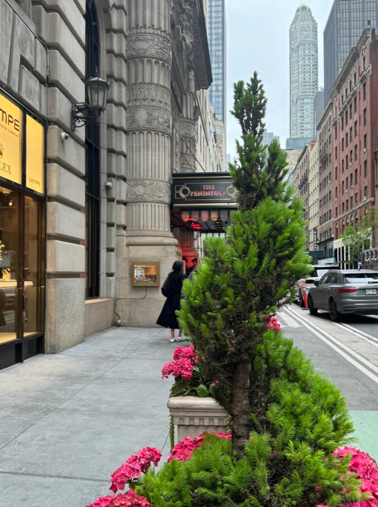 Pink hydrangeas outside The Peninsula on Fifth Avenue